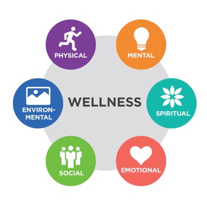 The Pillars of Holistic Wellness: A Comprehensive Guide - Green Remedy Info