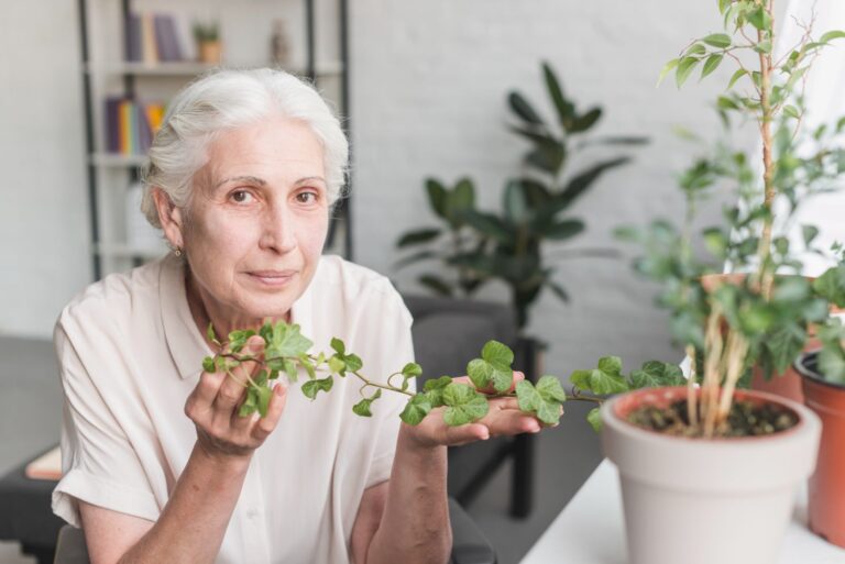 Herbal Wellness for Seniors: Promoting Healthy Aging with Herbs