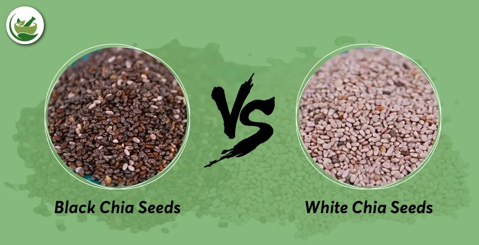 Health Benefits of White vs. Black Chia Seeds