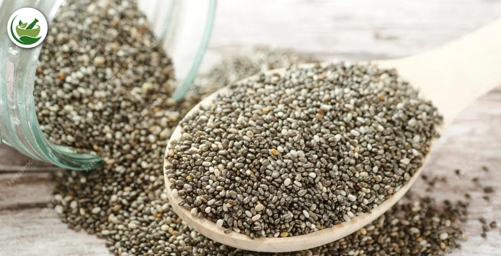 Chia Seeds Oatmeal Benefits: Elevating Your Health with Every Spoonful