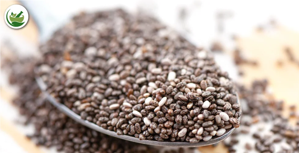 Maximizing Health with Every Sip: The Comprehensive Guide to Chia Seeds in Tea Benefits
