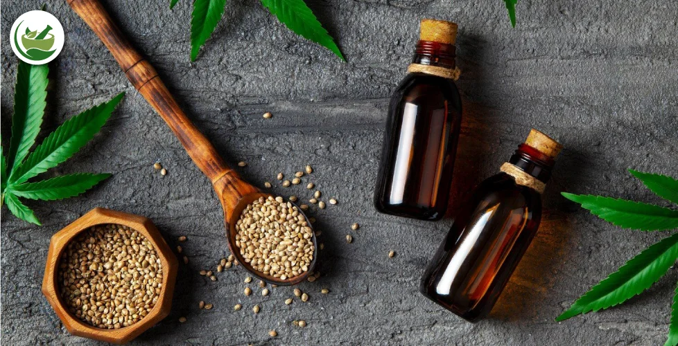 The Seed Spectrum: A Deep Dive into the Health Benefits of Hemp Seeds vs Chia Seeds