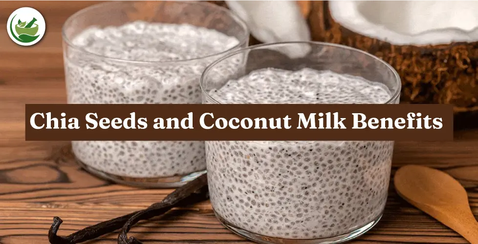 Chia Seeds and Coconut Milk Benefits: Why They Should Be in Your Pantry