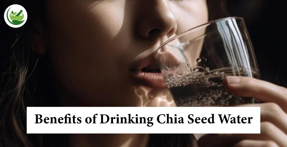 From Hydration to Nutrition: Understanding the Benefits of Chia Seeds and Water