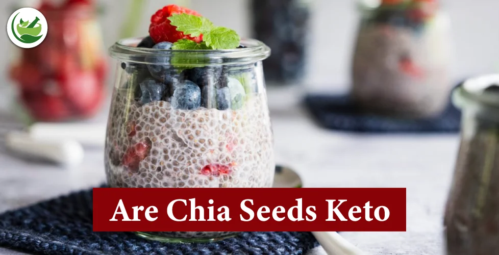 Are Chia Seeds Keto? Tips for Adding Them to Your Keto Meal Plan