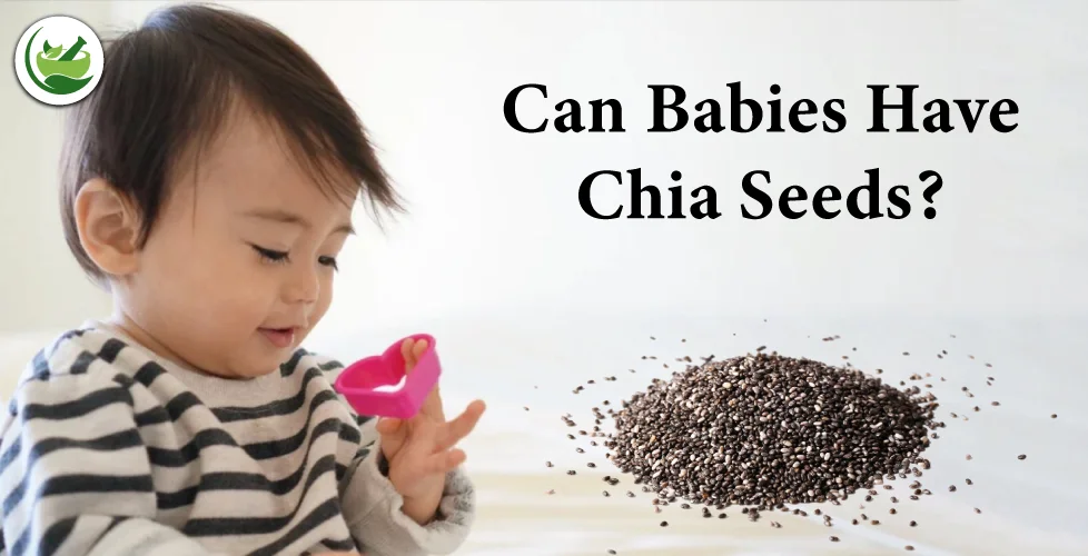 Can Babies Have Chia Seeds? Health Benefits and Precautions