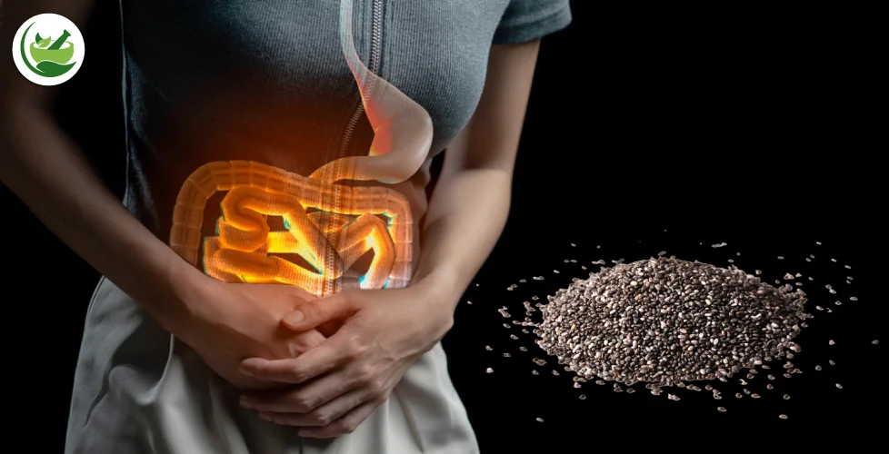 Can Chia Seeds Cause Constipation: Myth or Reality?