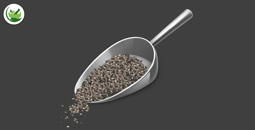 Chia Seeds Demystified: A Deep Dive into Hair Growth for Women