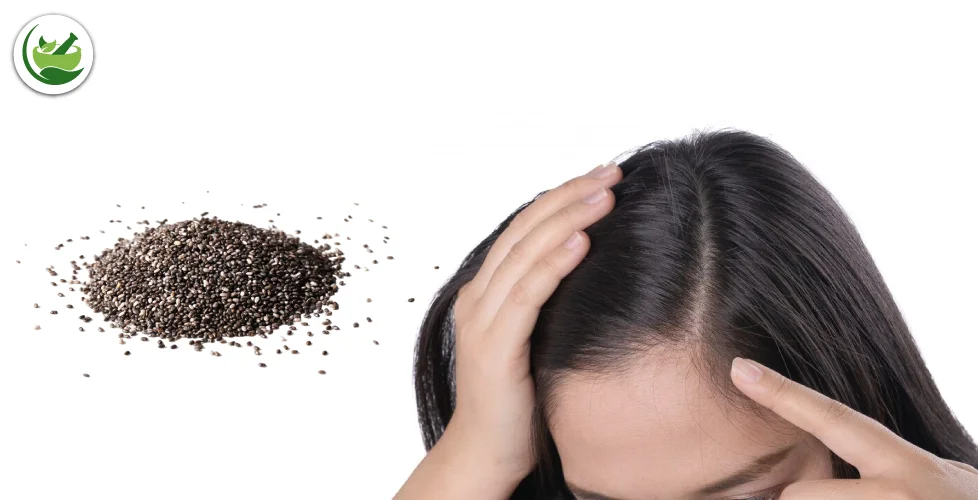 How Chia Seeds and Best Herbs for Hair Growth Work Together