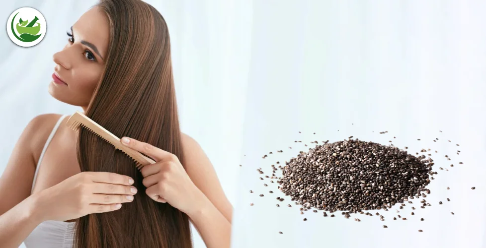 How to increase hair growth by using chia seeds