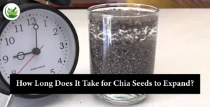 The Expansion Timeline: How Long Does It Take for Chia Seeds to Expand?