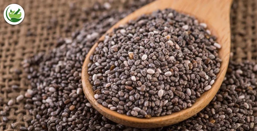 10 Proven Ways on How to Use Chia Seeds to Lose Belly Fat