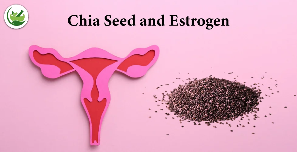 Chia Seeds Estrogen: Benefits and Potential Impacts on Women's Health