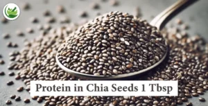 How Much Health Benefits of Protein in Chia Seeds 1 Tbsp