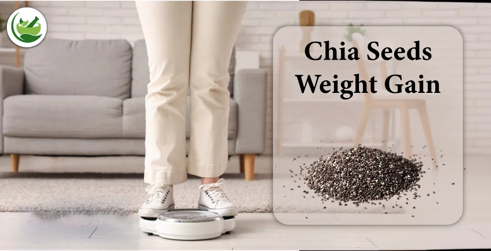 How Chia Seeds Weight Gain Works: Myths and Facts