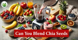 Why and How Can You Blend Chia Seeds for Better Nutrition?