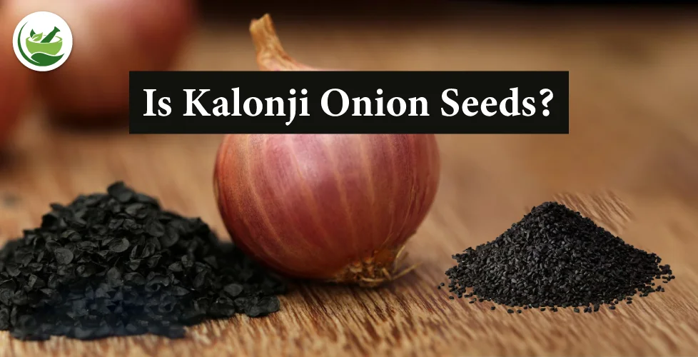 Is Kalonji Onion Seeds? Myths and Facts Explained