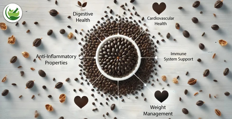 Simple Tips on How to Eat Kalonji Seeds Daily for Health Benefits