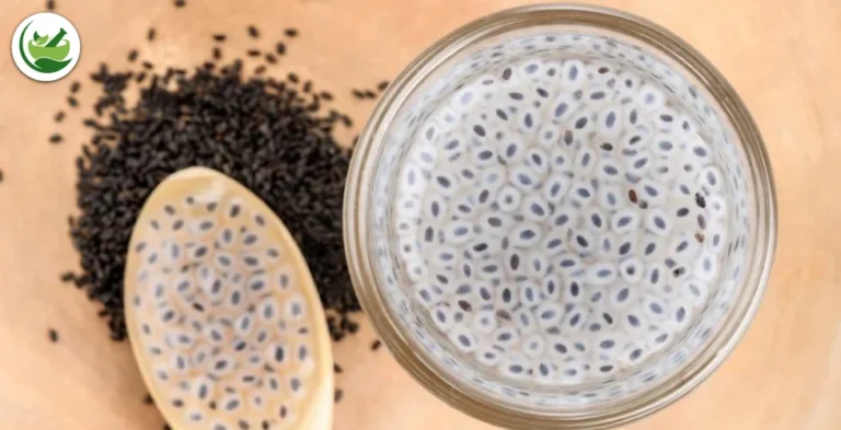 Basil Seeds and Tukmaria: How They Compare and Where to Use Them