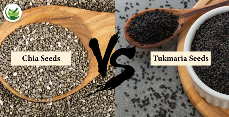 Chia Seeds vs. Tukmaria Seeds: Which Is Better for Your Health?