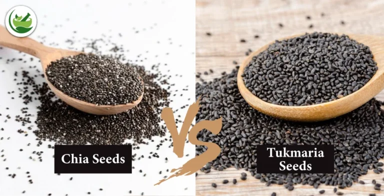 Is Chia Seeds and Tukmaria the Same? Exploring Their Similarities and Differences