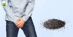 Boosting Male Sexual Health: The Benefits of Chia Seeds Sexually