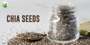 Unlocking Wellness: The Nutrient Value of Chia Seeds