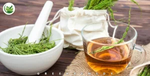 Rosemary Water for Hair Growth: Benefits, Recipes, and Tips
