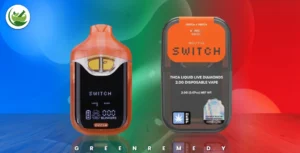 Boutiq Switch V4 Review: Flavors, Features & Buying Guide