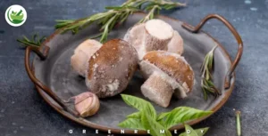Can You Freeze Mushrooms and Keep Their Flavor? Here’s How