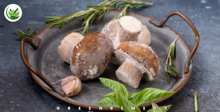 Can You Freeze Mushrooms and Keep Their Flavor? Here’s How