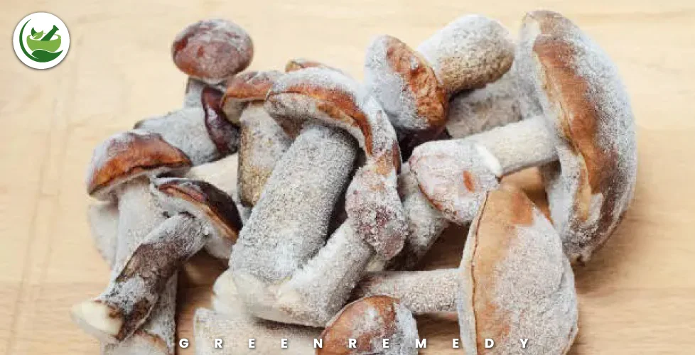 Can You Freeze Raw Mushrooms?
