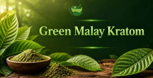 Green Malay Kratom Benefits, Uses & Effects