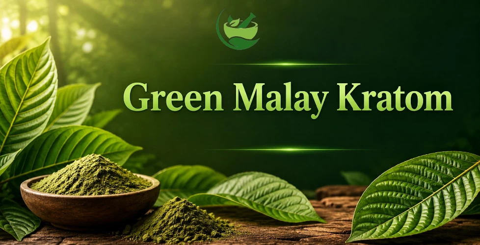 Green Malay Kratom Benefits, Uses & Effects